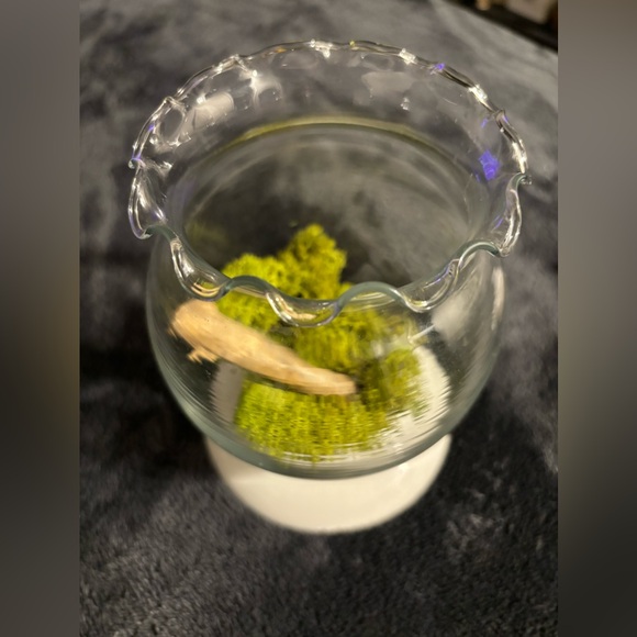 Tiny terrarium, fish bowl, cute planter, shabby chic piece - Picture 3 of 6